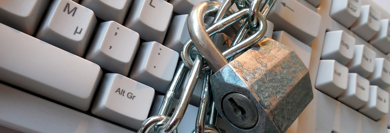 Een wachtwoord laten genereren of een sterk wachtwoord verzinnen: als je gegevens maar veilig zijn.